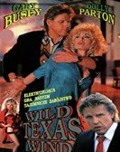 poster_wild-texas-wind_tt0103263.jpg Free Download