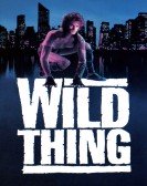 Wild Thing poster