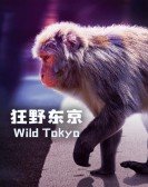 poster_wild-tokyo_tt15156586.jpg Free Download