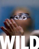 poster_wild_tt4071086.jpg Free Download