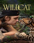 poster_wildcat_tt13622204.jpg Free Download