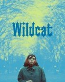 poster_wildcat_tt26442871.jpg Free Download