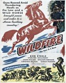 Wildfire Free Download