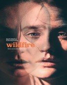 Wildfire Free Download