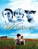 Wildflower poster