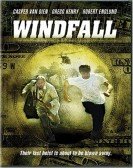 Windfall poster