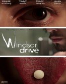 Windsor Driv Free Download