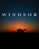 poster_windsor_tt3701460.jpg Free Download