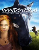 poster_windstorm_tt2356464.jpg Free Download