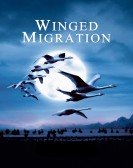 Winged Migration Free Download