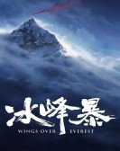 Wings Over Everest Free Download