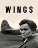 Wings Free Download