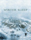 Winter Sleep Free Download