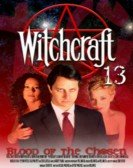 poster_witchcraft-13-blood-of-the-chosen_tt0473287.jpg Free Download