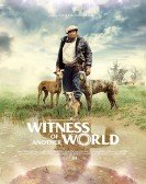 poster_witness-of-another-world_tt7027162.jpg Free Download