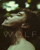 Wolf poster