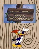 Woody Woodpecker poster