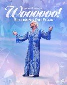 Woooooo! Becoming Ric Flair Free Download