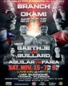 World Series of Fighting 15: Branch vs. Okami Free Download