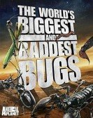 poster_worlds-biggest-and-baddest-bugs_tt1669708.jpg Free Download