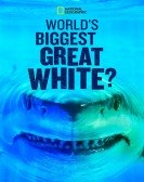 poster_worlds-biggest-great-white_tt11252634.jpg Free Download