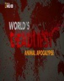 Worlds Deadliest... Animal Apocalypse poster