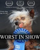 Worst in Sho Free Download