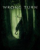 Wrong Turn poster