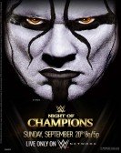 WWE Night of Champions 2015 poster