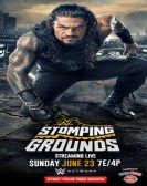 WWE Stomping Grounds poster