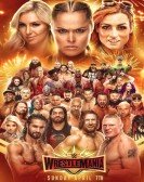 WWE WrestleMania 35 poster