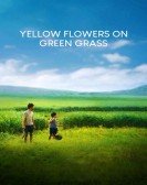 poster_yellow-flowers-on-the-green-grass_tt4669954.jpg Free Download