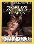 Yellowstone: Realm of the Coyote Free Download