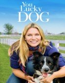 You Lucky Dog Free Download