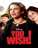 poster_you-wish_tt0329783.jpg Free Download