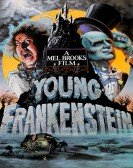 Young Frankenstein Free Download