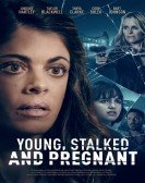 Young, Stalked and Pregnant Free Download