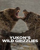 Yukon's Wild Grizzlies poster