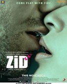 Zid poster