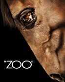 Zoo Free Download