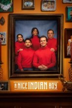 A Nice Indian Boy poster