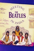 Meeting the Beatles in India poster