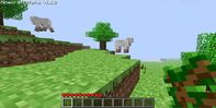 Minecraft screenshot 5