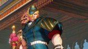 Street Fighter V screenshot 1