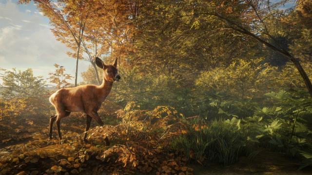 TheHunter Call of the Wild screenshots