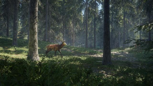 TheHunter Call of the Wild screenshots