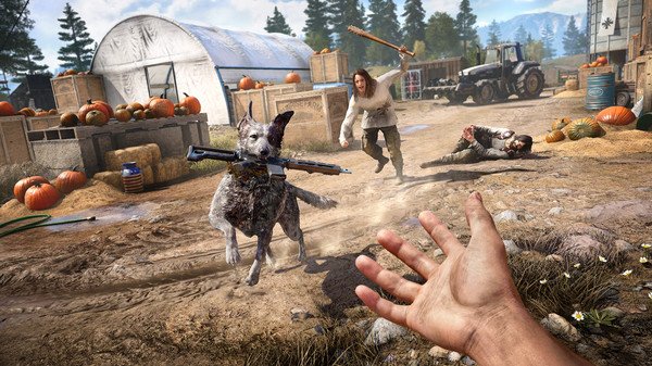 Far Cry 5 screenshots