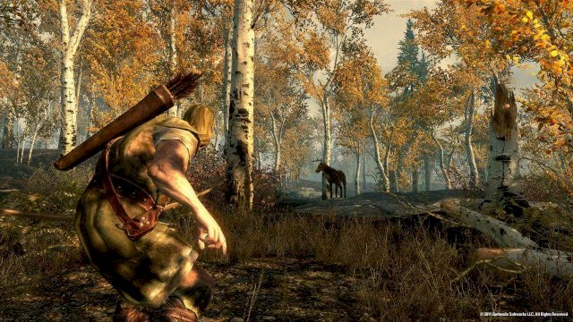 The Elder Scrolls V Skyrim screenshots